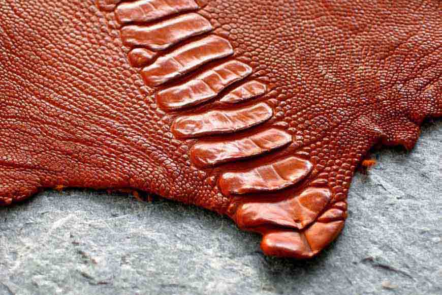 Ví da đà điểu sự khác biệt với các loại ví da khác.